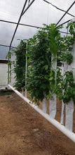 Load image into Gallery viewer, 32 Plant Vertical Hydroponic Sleeve
