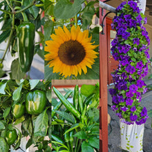 Load image into Gallery viewer, Just The Garden 16 plant hydroponic vertical garden - GrowMesh