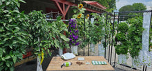 Load image into Gallery viewer, Just The Garden 16 plant hydroponic vertical garden - GrowMesh