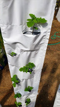 Load image into Gallery viewer, 32 Plant Vertical Hydroponic Sleeve