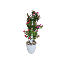 Load image into Gallery viewer, GrowMesh BloomTower Vertical Garden - GrowMesh