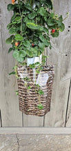 Load image into Gallery viewer, Decorative Garden Skirt for enhancing the look of your GrowMesh Vertical Garden. - GrowMesh