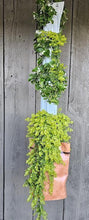 Load image into Gallery viewer, Decorative Garden Skirt for enhancing the look of your GrowMesh Vertical Garden. - GrowMesh