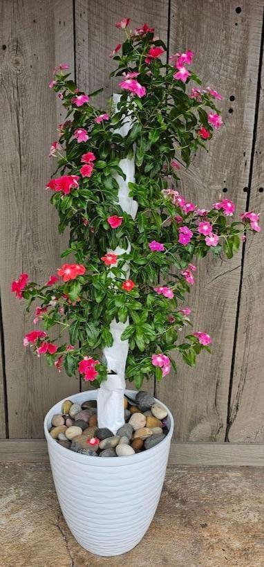 A BloomTower in a white pot covered in flowers